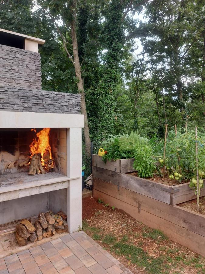 Guest House Flora Pazin Exterior photo
